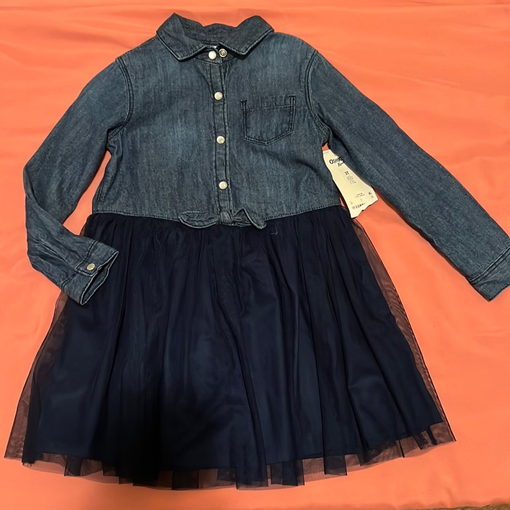Shirt Dress